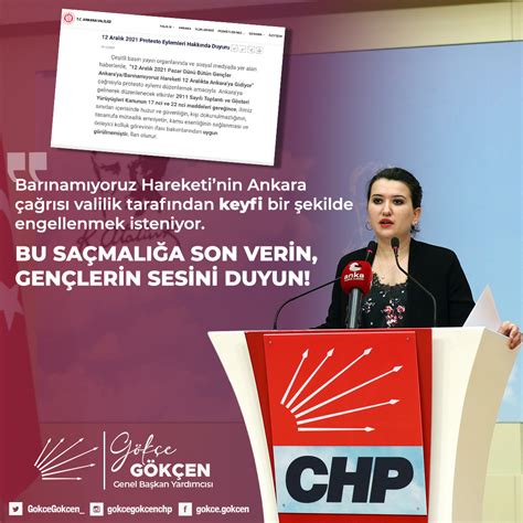 CHP İzmir Milletvekili Gökçe Gökçen on Behance