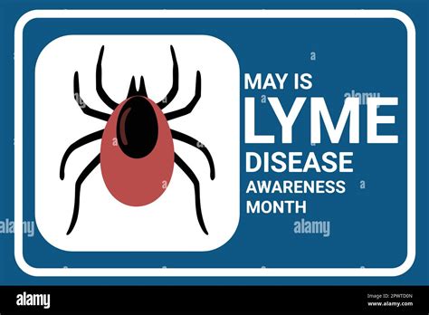 May Is Lyme Disease Awareness Month Illustration Web Banner For Social