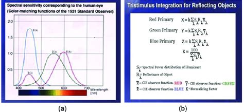 A Spectral Sensitivity Of Human Eyes Of Rgb Primary Stimulli And