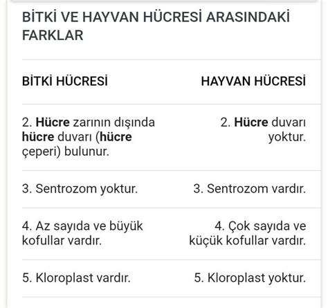 Hayvan ve bitki hücrelerinin arasındaki farklar nelerdir Eodev