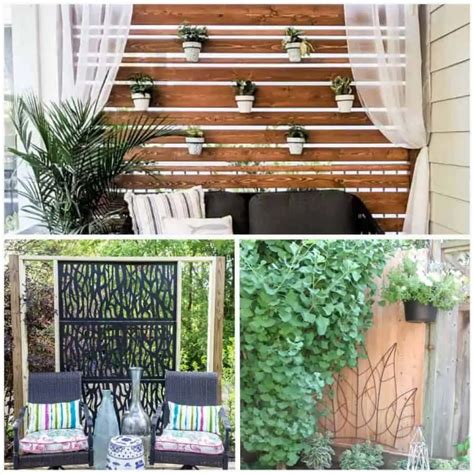 DIY Backyard Privacy Screen Ideas - Artsy Pretty Plants