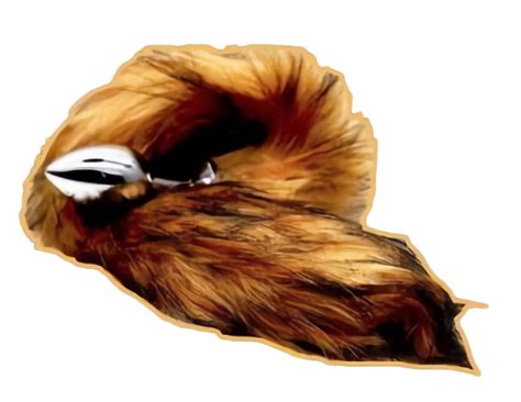 Plug Anal Metalico Cola De Zorro Caf Los Novedosos