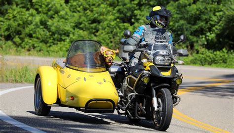 Dogs And Sidecars Tips From A Long Distance Traveler Revzilla