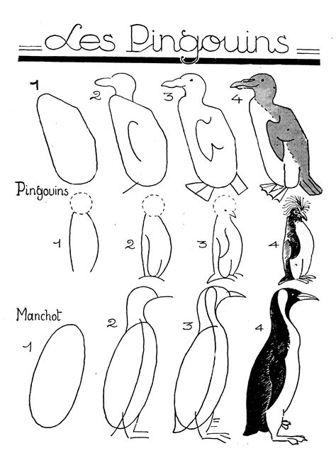 Pinguin Schritt F R Schritt Anleitung Zum Zeichnen R Tsel