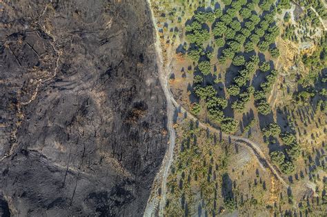 Wiki Loves Earth Italy Fotografa E Racconta Le Aree Protette Italiane