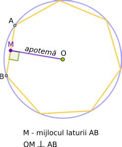 Poligoane Regulate