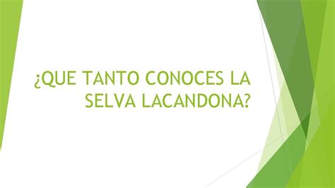 Que Tanto Conoces La Selva Lacandona Qu Significa