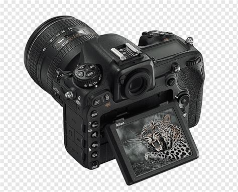 Nikon D500 Цифровая зеркальная фотокамера с одним объективом и ...