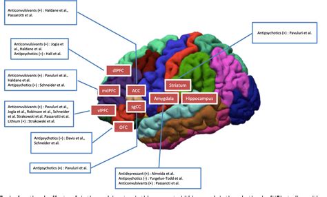 Figure 2 From Brain Functional Effects Of Psychopharmacological