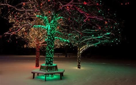 Wallpaper Landscape Night Nature Sky Snow Winter Branch Ice