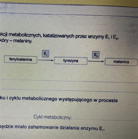 Zadanie 4 Na schemacie przedstawiono ciąg reakcji metabolicznych