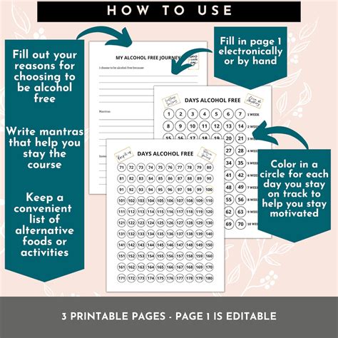 Sobriety Tracker Printable Sheets Motivational Page Etsy