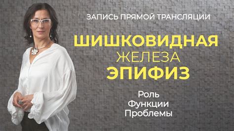 Шишковидная железа | Роль, функции, проблемы - YouTube