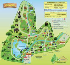 Calgary Zoo Map | Find Animals, Attractions & More | Zoo map, Map, Zoo