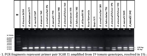 Figure 1 From Gene Based Markers In Marker Assisted Selection To Screen