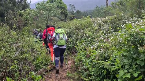 Trekking Africa - Magoebaskloof Trail – Limpopo