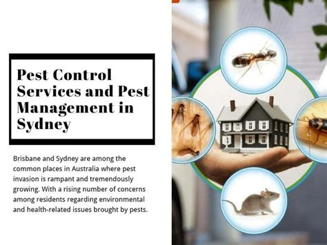 Ppt Pest Control Services And Pest Management In Sydney Powerpoint