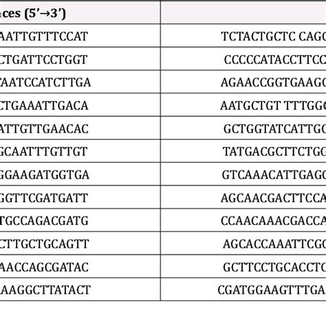 Primer Sequences Used For Real Time Pcr Experiments Download