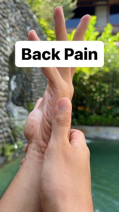 Chinese Medicine Back Pain Acupoints In 2024 Back Pain Chinese