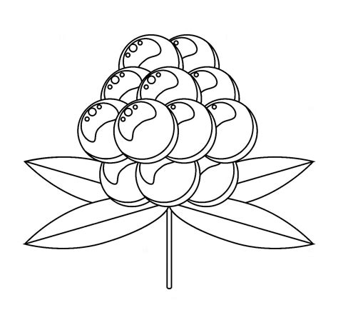 Berries Coloring Pages Download And Print For Kids