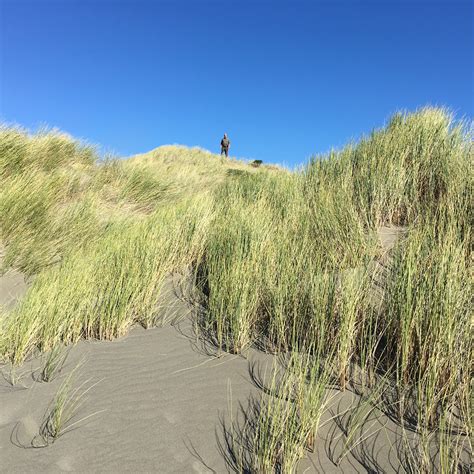 Free Images Beach Landscape Sea Coast Tree Nature Ocean