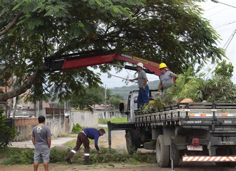 Prefeitura Retoma Servi O De Poda E Supress O De Rvores P Blicas