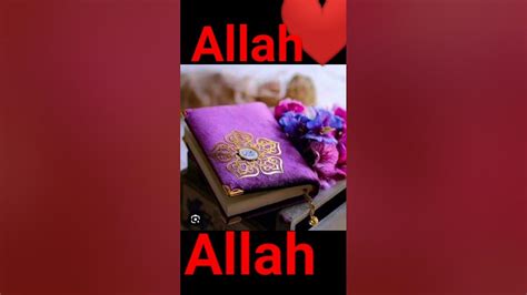 Allah Allah Allah Allah ️🥰🥰🥰 ️🌃 ️🥰 ️🕋🕋🥀 ️🥰🕋🌃 ️🌃🥰 ️🥀🕋🕋 ️🥰 ️🥰 ️ Youtube