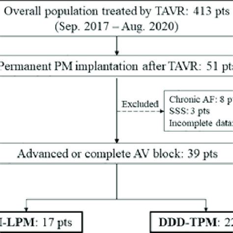 Flowchart Of The Study Population Abbreviations AF Atrial