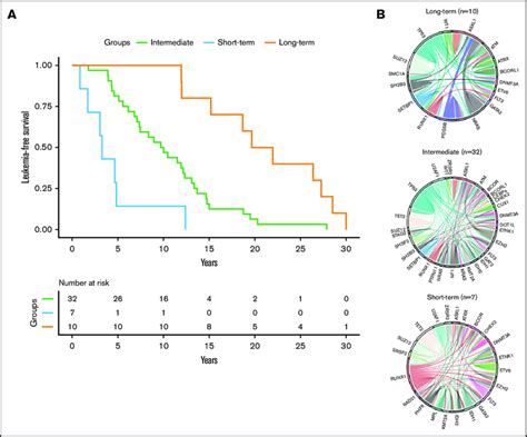 Time To Leukemic Transformation And The Molecular Landscape Of The 3