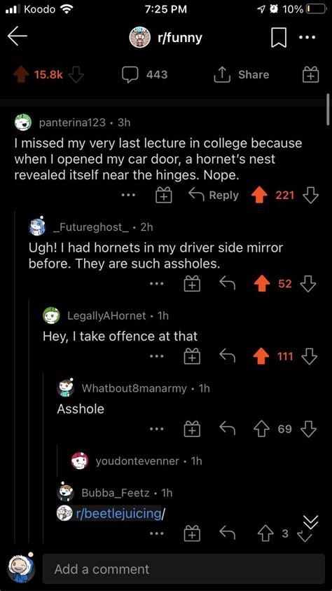 A Hornet R Beetlejuicing Beetlejuicing Know Your Meme