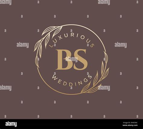 Bs Initials Letter Wedding Monogram Logos Template Hand Drawn Modern