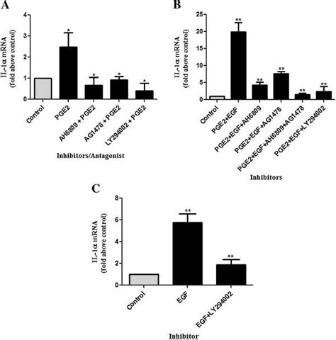 Ep2 Antagonist And Egfr And Pi3 Kinase Inhibitors Inhibit Pge2 Or Pge2