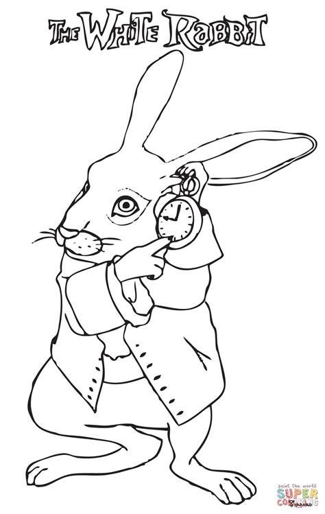 White Rabbit Alice In Wonderland Drawing at GetDrawings | Free download