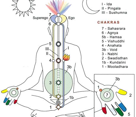 El Cuerpo Sutil Un Puente Entre La Mente Y El Cuerpo Santi Perich