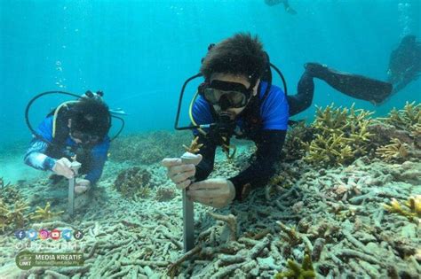 Cuaca Panas Malaysia Berisiko Hilang Terumbu Karang