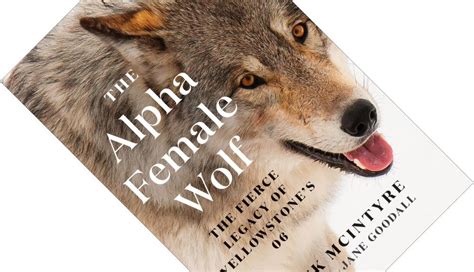 Book review – The Alpha Female Wolf: The Fierce Legacy of Yellowstone’s 06 | The Inquisitive ...