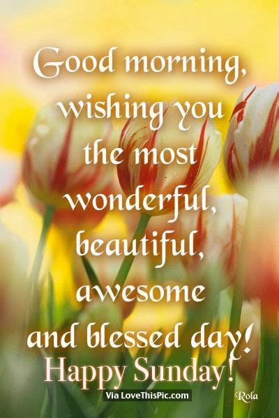 Good Morning Wishing You The Most Wonderful Beautiful Awesome And