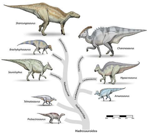 「やられ役」の植物食恐竜は本当に弱かったのか？｜ハドロサウルス科の恐竜を徹底解説 Lab Brains