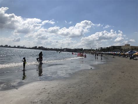 Playas De Veracruz Son Aptas Para Recibir Turistas