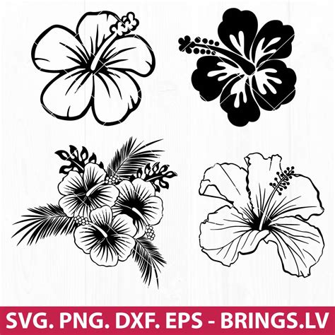 Hawaiian Flower SVG, Hibiscus Flower SVG, PNG, DXF, EPS