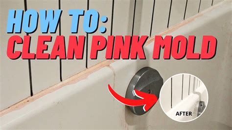 How To Clean Pink Mold In Your Shower Bathtub Super Easy Youtube