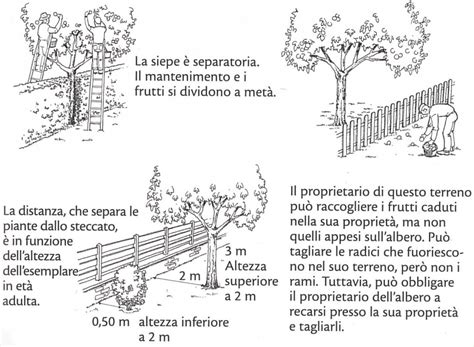 Manage Extremely Annotate Altezza Siepi Di Recinzione Homeless