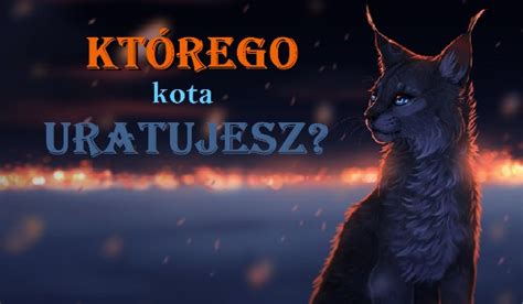 Którego kota uratujesz sameQuizy