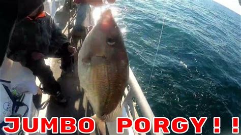 Porgy Fishing Scup Was On Fire In New Jersey Youtube
