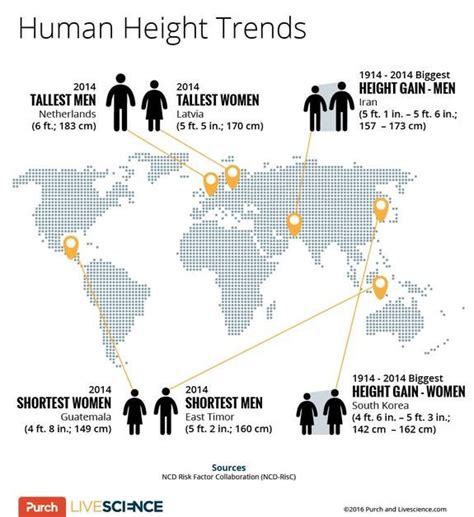 Where Do the World’s Tallest and Shortest People Live? | Average height ...