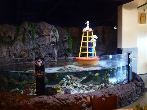 Sasaki Time: Legoland Sea Life Aquarium Trip Report!