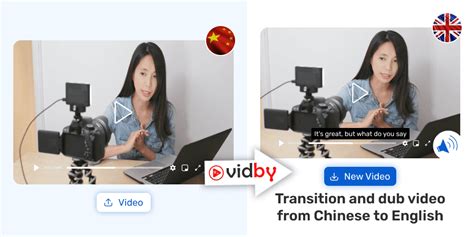 Translate Video From Chinese To English Vidby