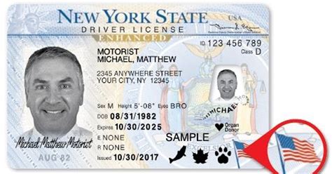 Michigan Drivers License Lookup Mlever