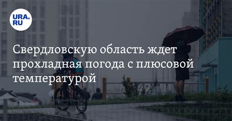 Прогноз погоды в Свердловской области на 14 октября: небольшие дожди ...