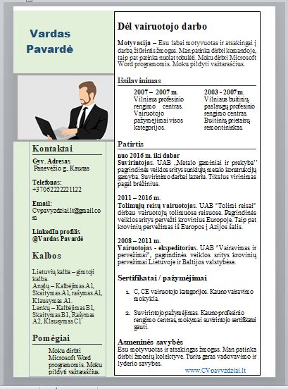 Vairuotojo Cv Pavyzdys Cv Pavyzdžiai